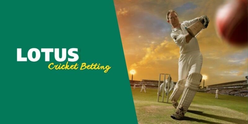 Lotus Exchange id for Cricket Betting