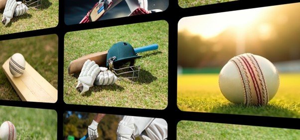 Key Elements in Cricket Betting