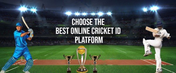 Choosing Cricket betting Platform