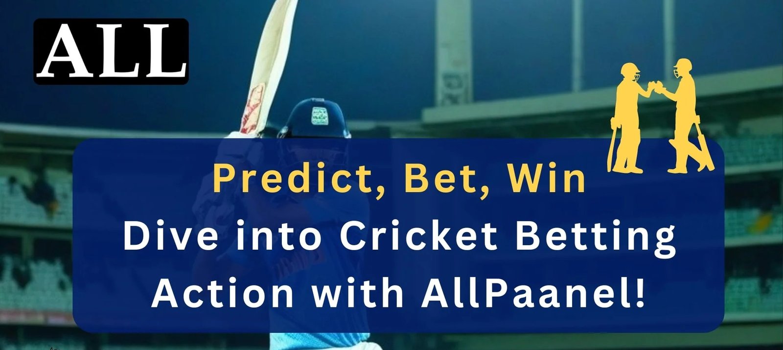 Effortless Navigation and Easy Access on Allpaanel
