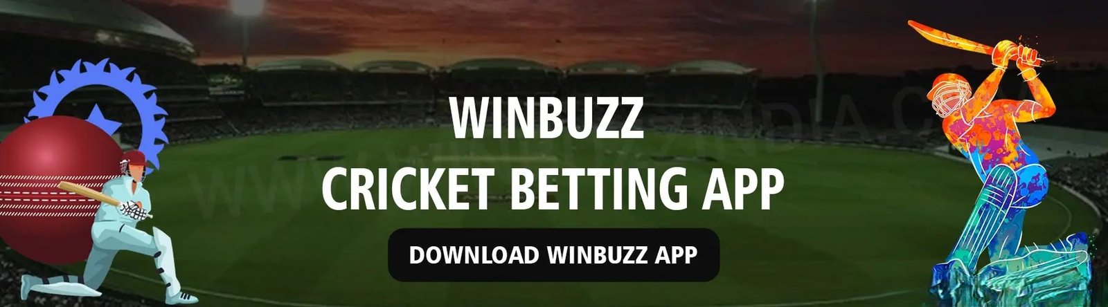 Top Features of Winbuzz ID